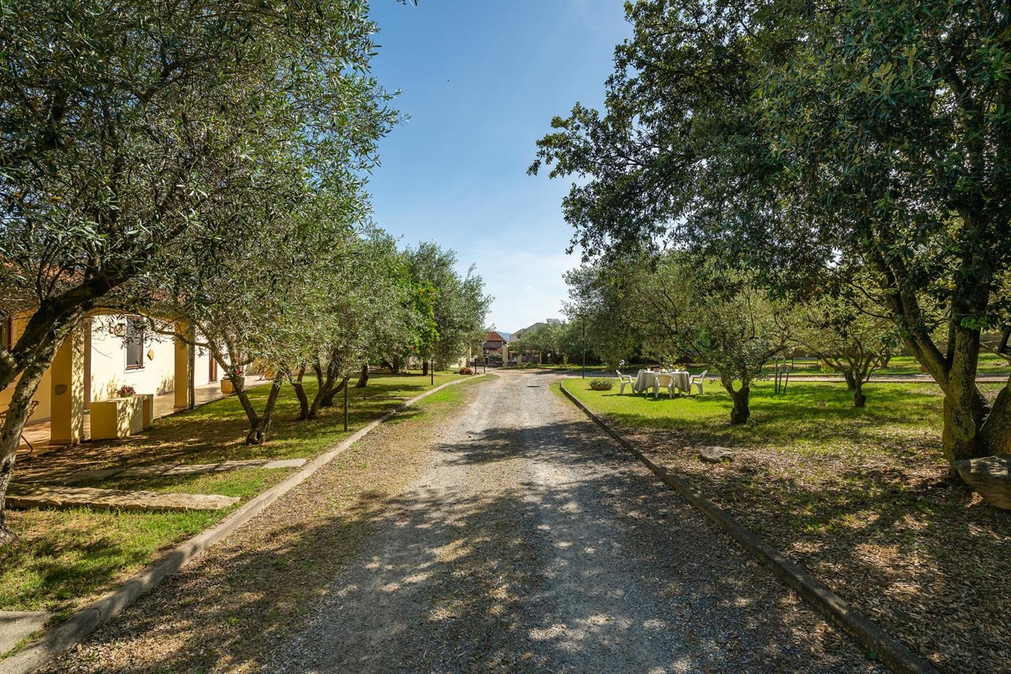 Villamassargia Residenza Parco Degli Uliviヴィラ エクステリア 写真